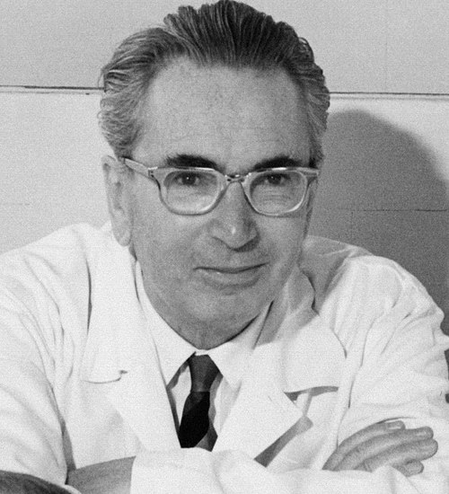 Viktor Frankl, filósofo, sobre liberdade: “Tudo pode ser tirado de um homem, exceto uma coisa: a escolha do próprio caminho”