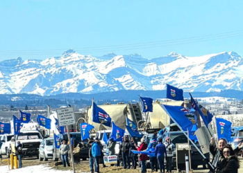 Foto: Stay Free Alberta