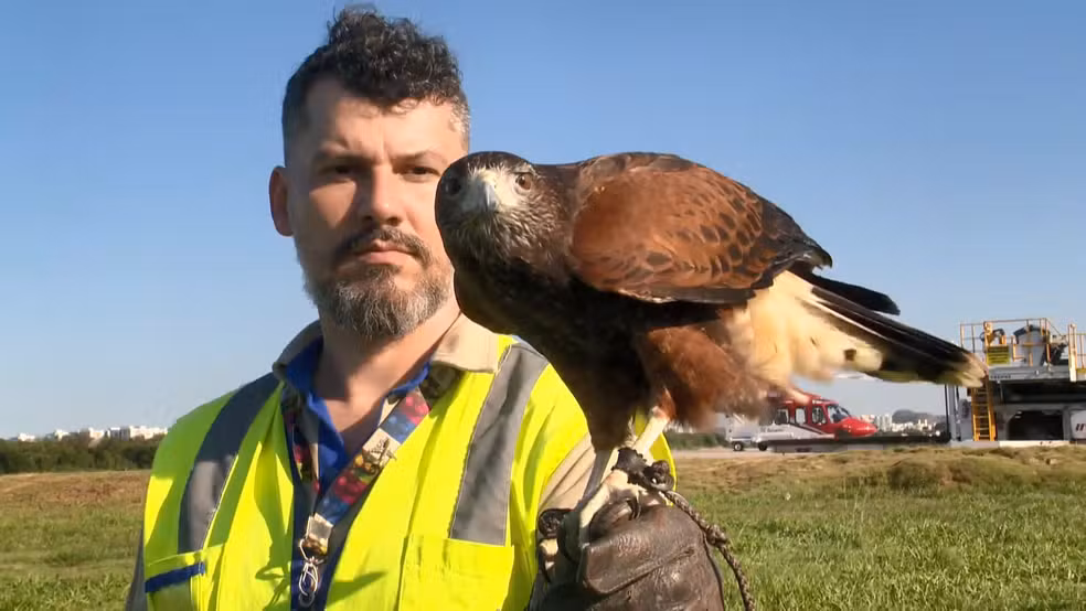 Visando a segurança nos voos, animais serão utilizados pela aeronáutica brasileira