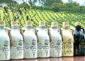 Foto: Estância das Oliveiras