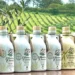 Foto: Estância das Oliveiras