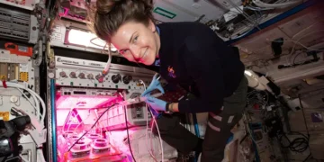O desafio tem o objetivo de garantir uma fonte de alimentos nutritiva e duradoura para astronautas que fiquem em planetas distantes.

Foto: NASA