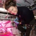 O desafio tem o objetivo de garantir uma fonte de alimentos nutritiva e duradoura para astronautas que fiquem em planetas distantes.

Foto: NASA