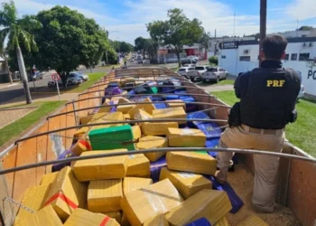 Foto: Reprodução/PRF