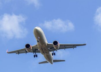 Foto: Ethan Sarkar / Pexels