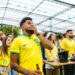 Foto: Juliano Ferreira / Pexels