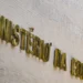 Foto: Rafa Neddermeyer / Agência Brasil