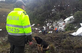 A polícia colombiana atuando na remoção dos corpos das vítimas do acidente.

Foto: Policía Nacional de los colombianos / Flickr