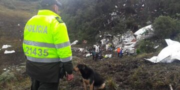 A polícia colombiana atuando na remoção dos corpos das vítimas do acidente.

Foto: Policía Nacional de los colombianos / Flickr