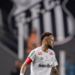 Foto: Raul Baretta/ Santos FC