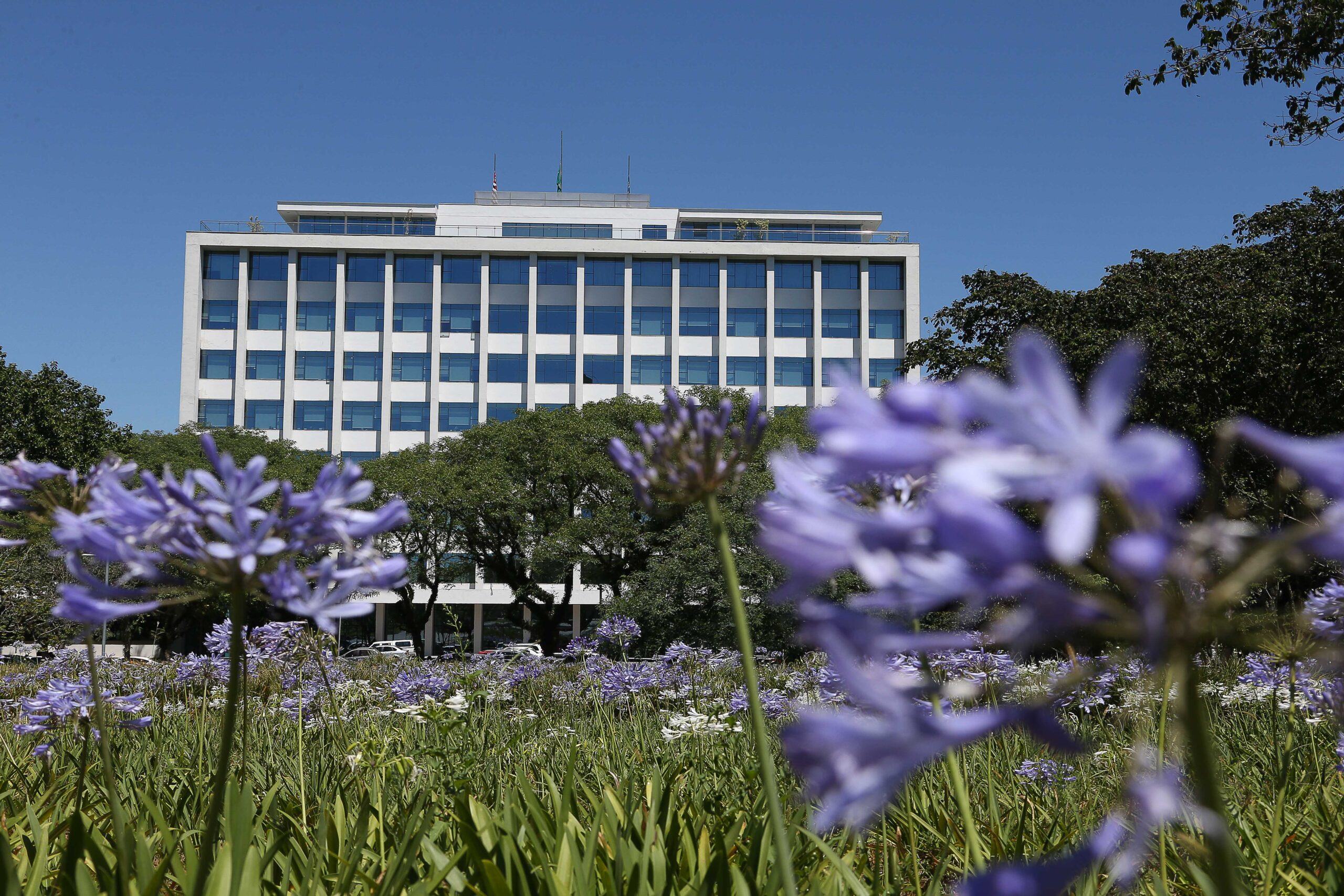 Universidade brasileira anuncia programa que libera curso de línguas estrangeiras para todos