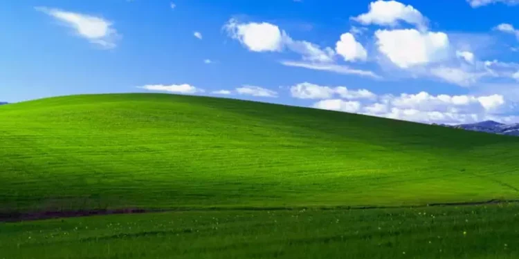 Foto: Microsoft