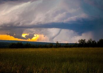 Imagem meramente ilustrativa.

Foto: Matthew Wolfe / Pexels