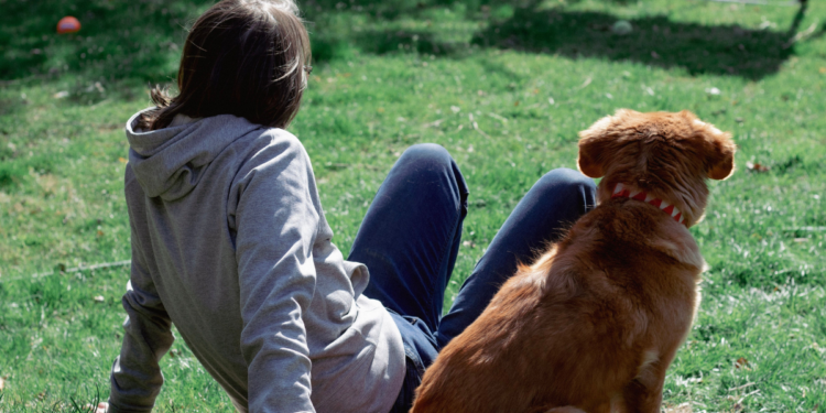 Foto: Pexels