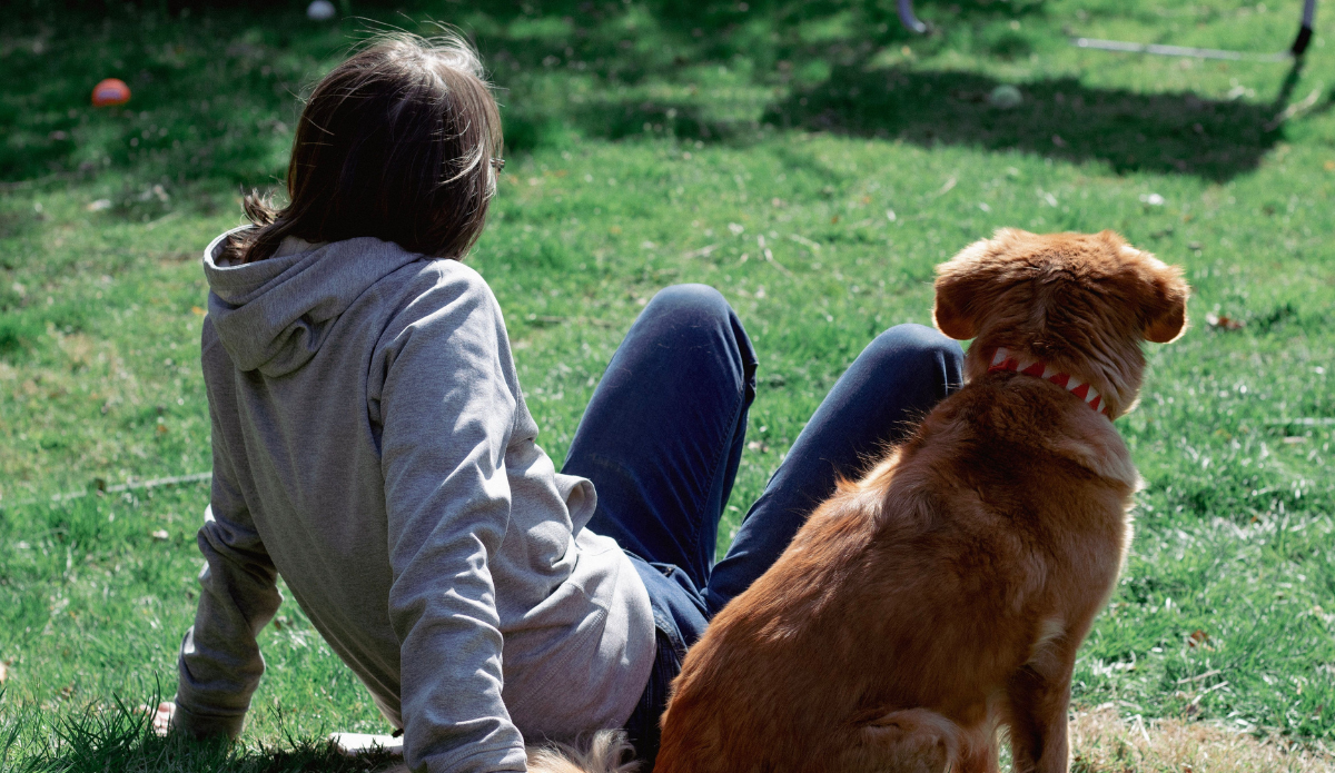 Estudo revela que animais não resolvem solidão de crianças e adolescentes