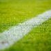 Brasileiro campeão américa deixa brasil