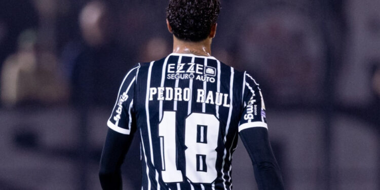 Foto: Rodrigo Coca / Agência Corinthians
