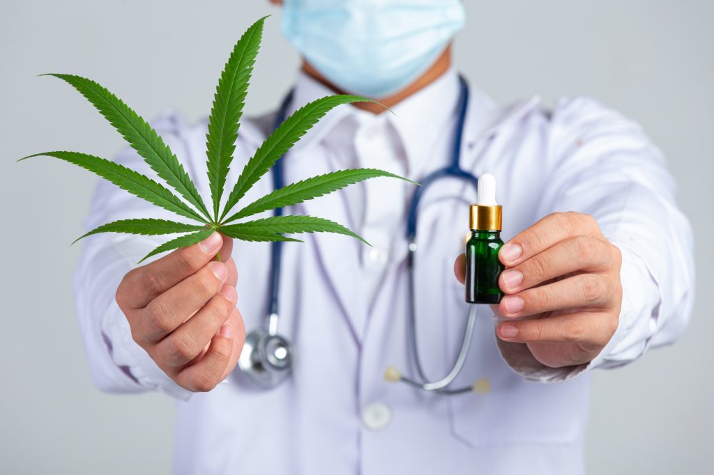 Uso medicinal da maconha é contestada por especialistas após estudo de quase 50 anos