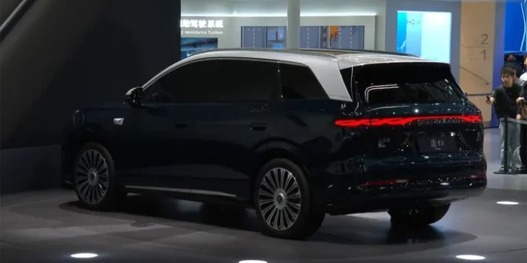 Modelo abriu caminhos byd brasil