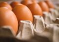 Lote com mais de 1,5 milhão de cartelas de ovo são recolhidas por suspeita de salmonela - Pixabay