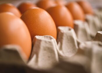 Lote com mais de 1,5 milhão de cartelas de ovo são recolhidas por suspeita de salmonela - Pixabay
