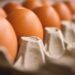 Lote com mais de 1,5 milhão de cartelas de ovo são recolhidas por suspeita de salmonela - Pixabay