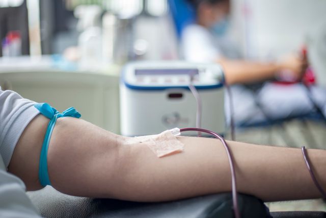 Mudou tudo! Novas regras para doação de sangue entram em vigor nos próximos meses