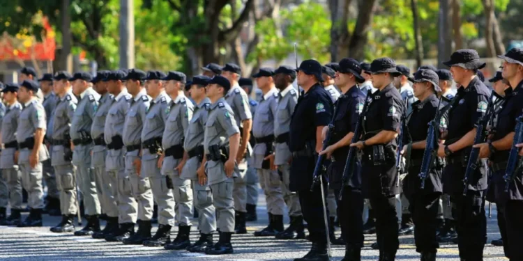 Foto: Divulgação/SSPAP