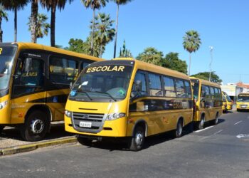 Veículo escolar contratado era dirigido