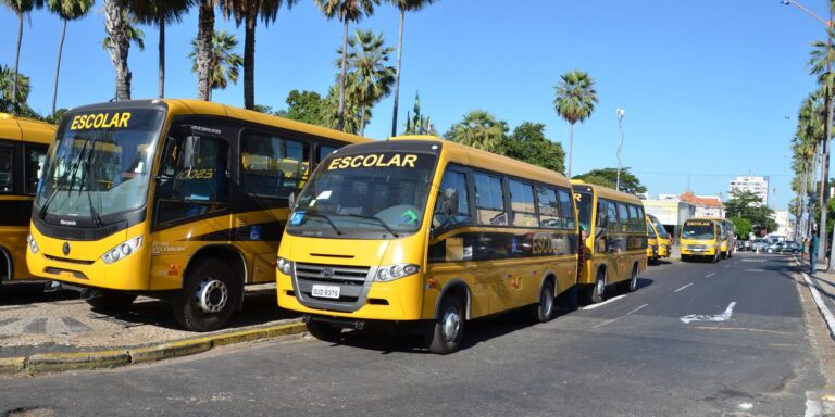 Veículo escolar contratado era dirigido